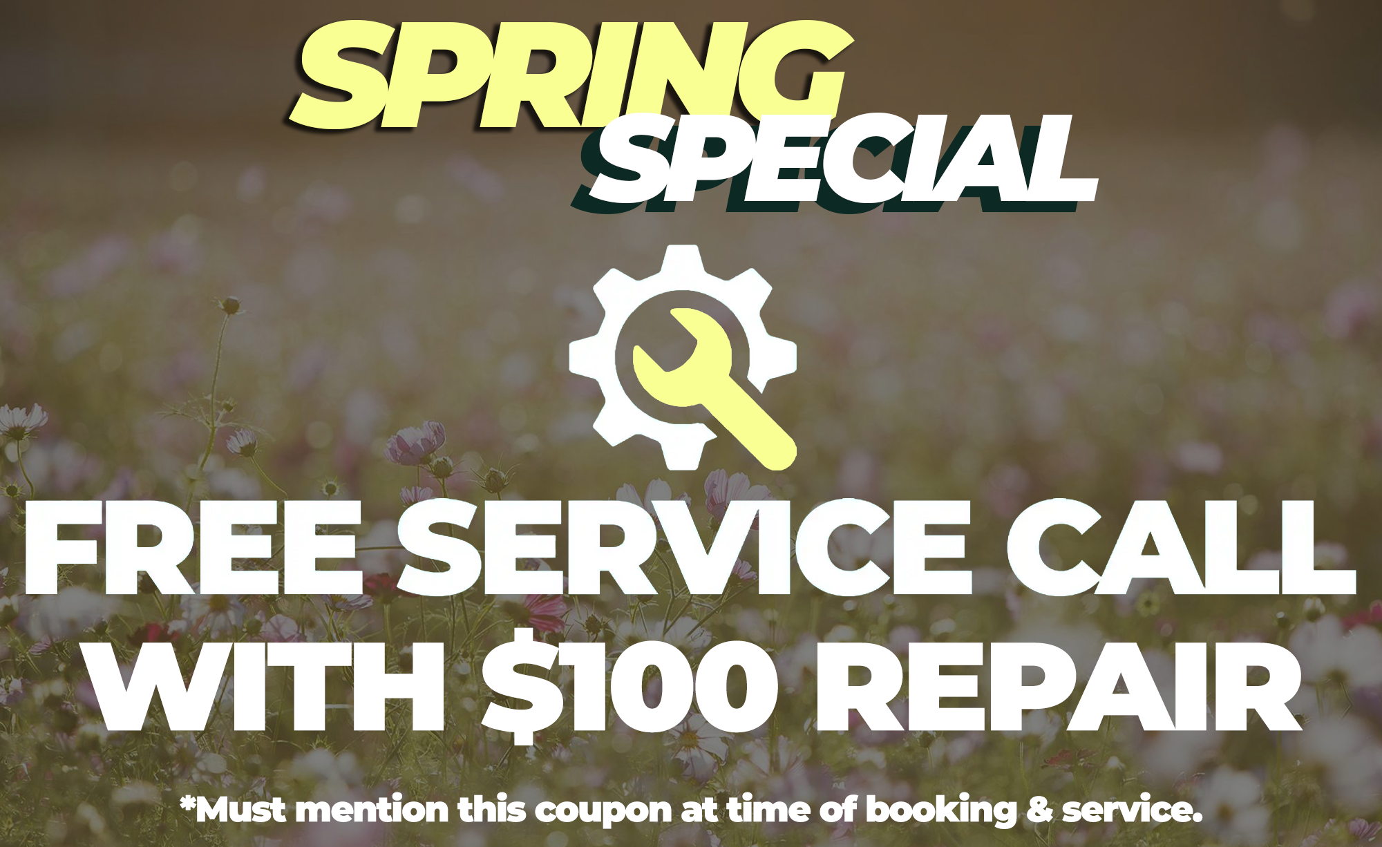 Spring Special